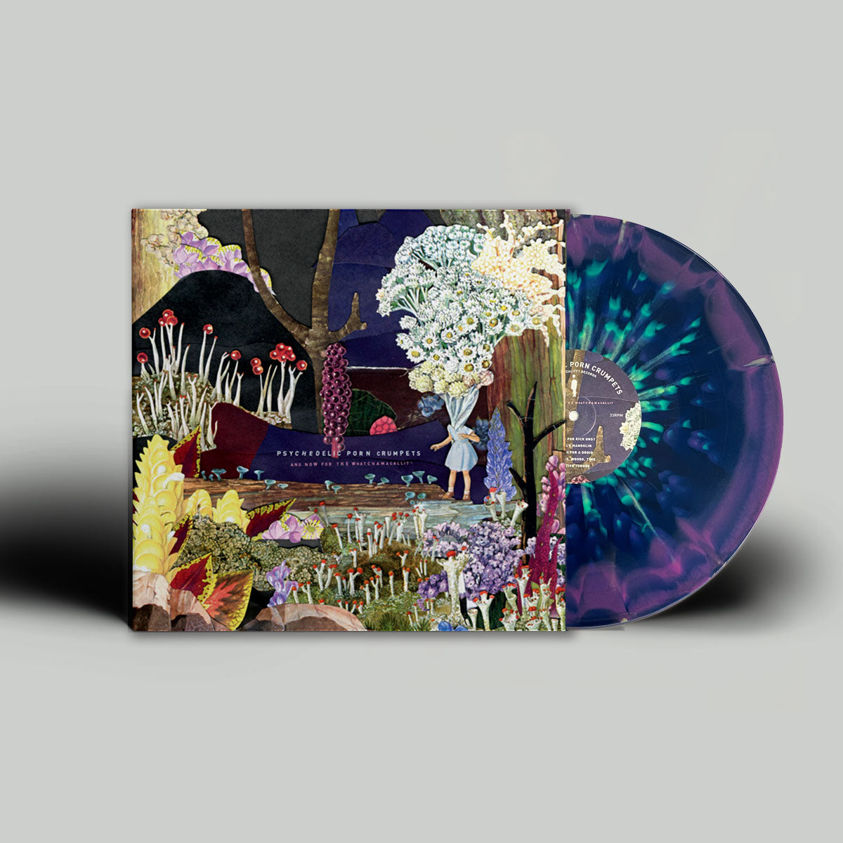 'AND NOW FOR THE WHATCHAMACALLIT' - IRIS SPLATTER VINYL